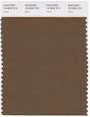 Pantone Smart 18-0928 TCX Color Swatch Card | Sepia