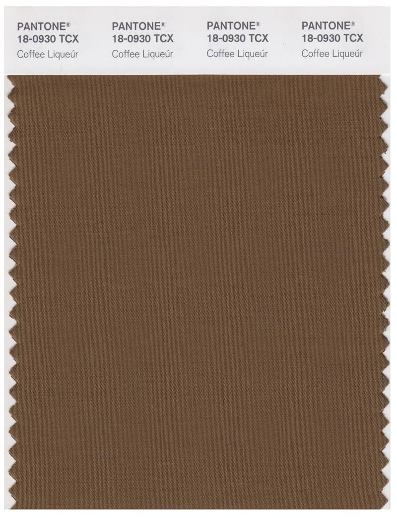 Pantone Smart 18-0930 TCX Color Swatch Card | Cofee Liqeur