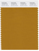 Pantone Smart 18-0935 TCX Color Swatch Card | Buckhorn Brown