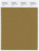 Pantone Smart 18-0939 TCX Color Swatch Card | Cumin