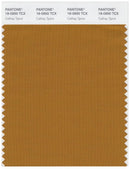 Pantone Smart 18-0950 TCX Color Swatch Card | Cathay Spice