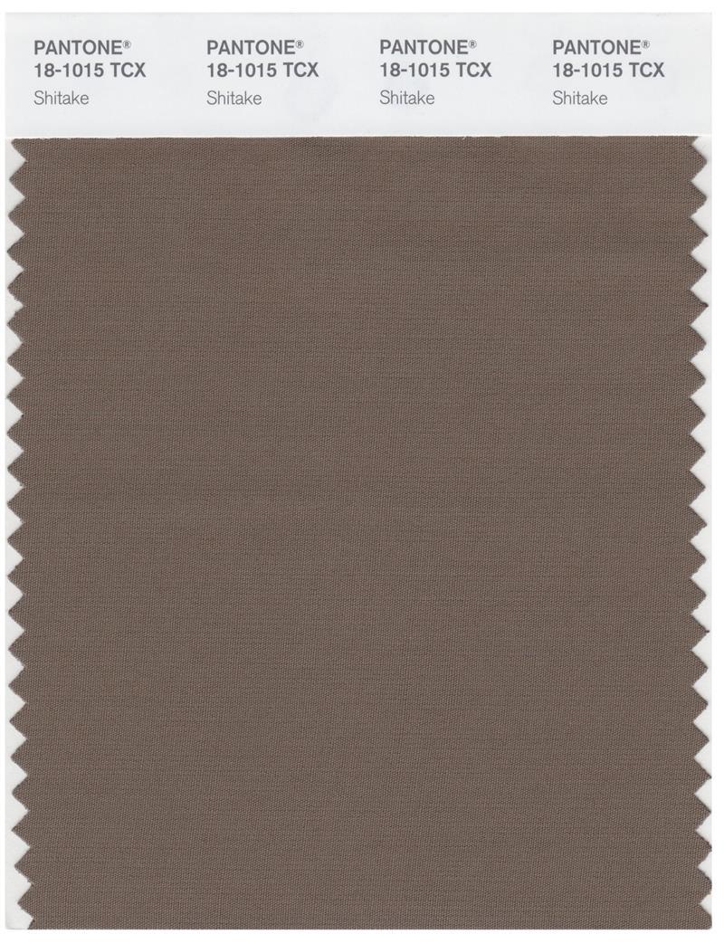 Pantone Smart 18-1015 TCX Color Swatch Card | Shitake