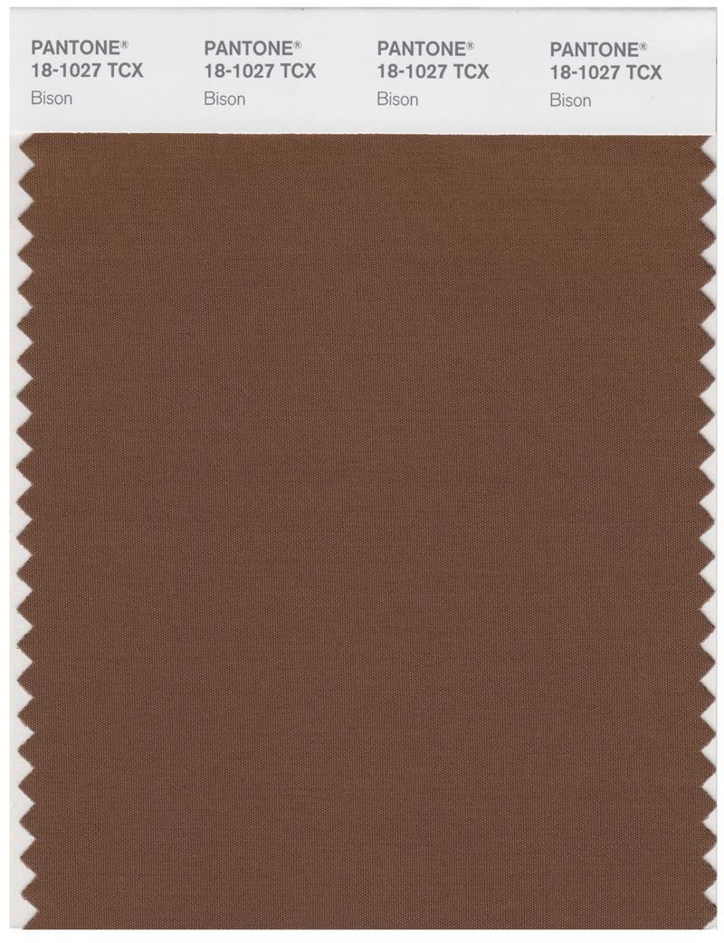 Pantone Smart 18-1027 TCX Color Swatch Card | Bison