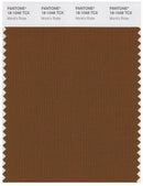 Pantone Smart 18-1048 TCX Color Swatch Card | Monk's Robe