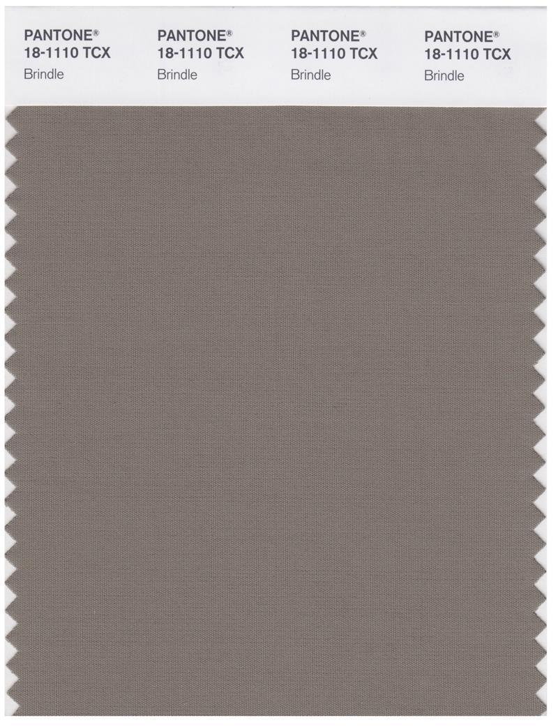 Brindle Color Code Pantone Smart 18-1110 TCX Color Swatch Card | Brindle | Magazine Cafe ...