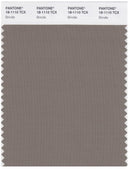 Pantone Smart 18-1110 TCX Color Swatch Card | Brindle