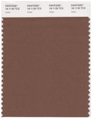 Pantone Smart 18-1130 TCX Color Swatch Card | Aztec