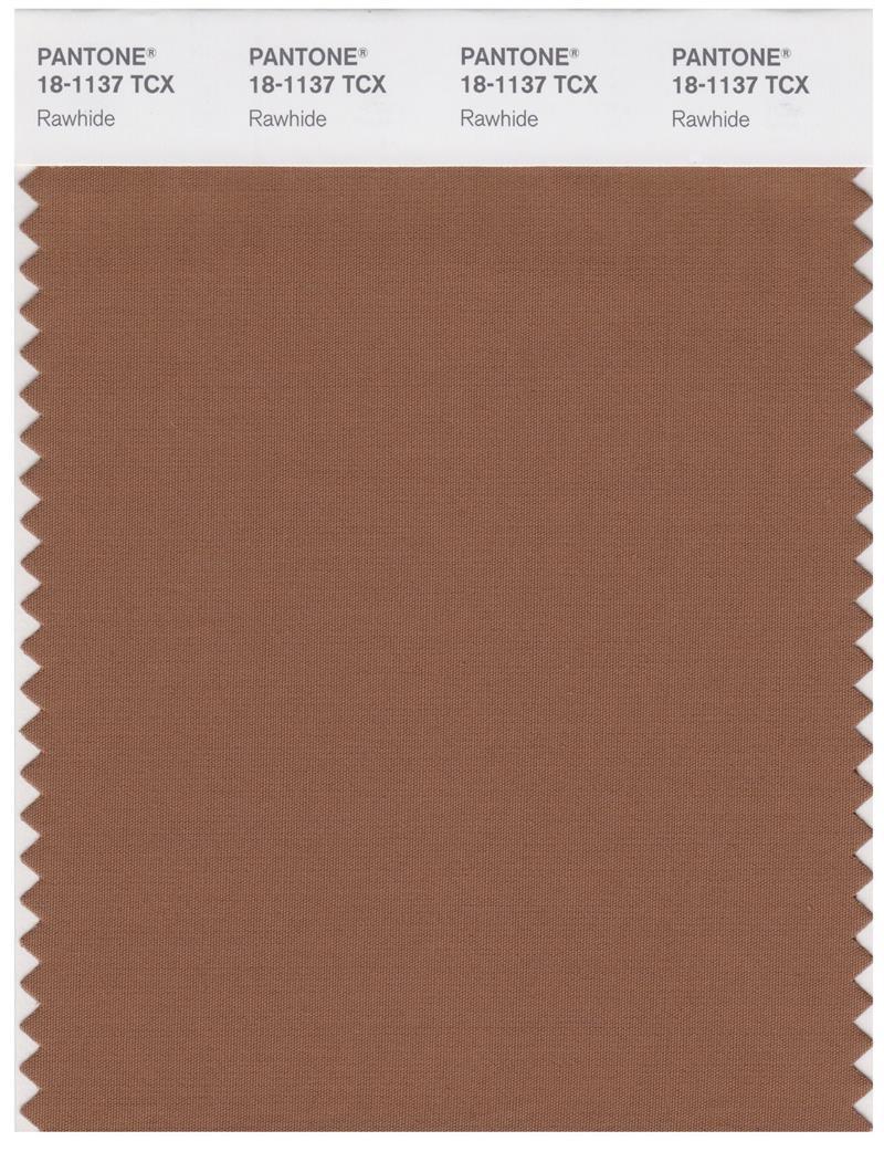 T☆ Pantone Smart 18-1137 TCX Color Swatch Card | Rawhide | Magazine