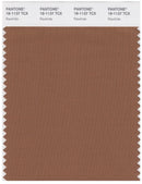 Pantone Smart 18-1137 TCX Color Swatch Card | Rawhide