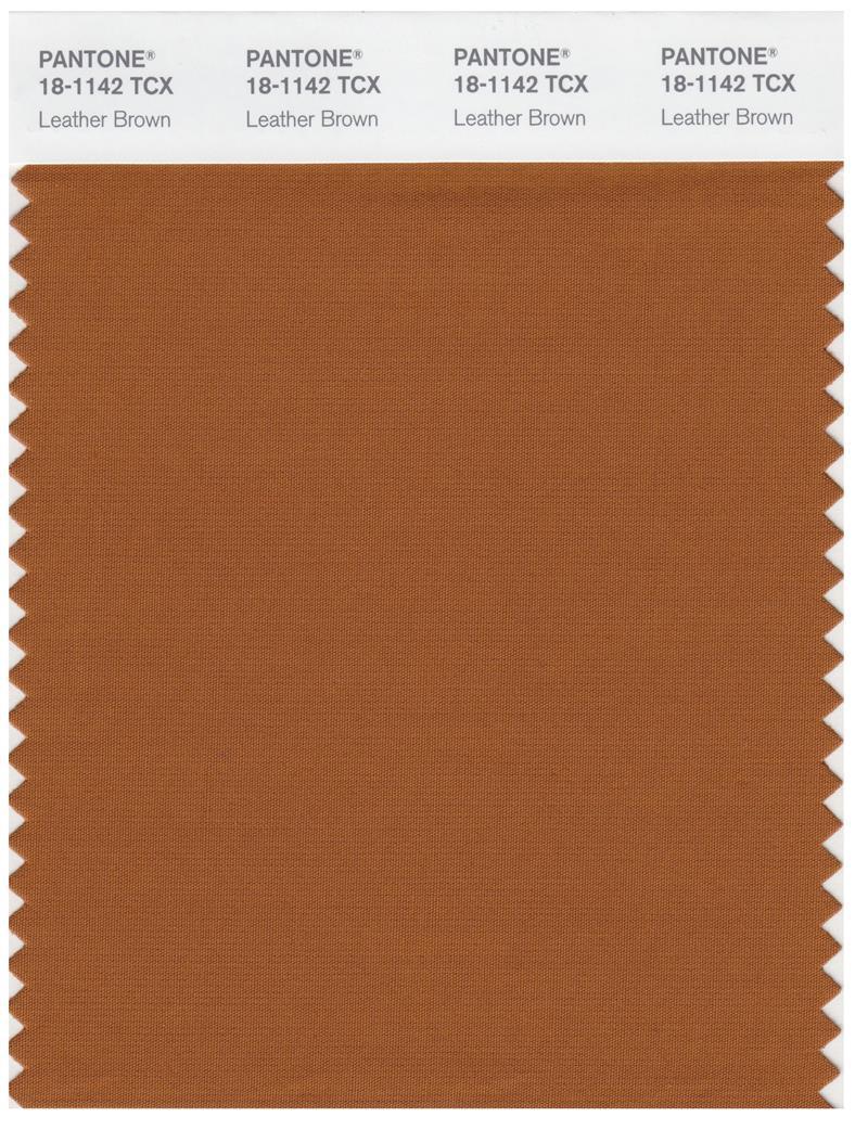 Pantone Smart 18-1142 TCX Color Swatch Card | Leather Brown
