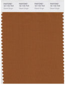Pantone Smart 18-1154 TCX Color Swatch Card | Glazed Ginger