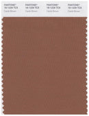 Pantone Smart 18-1229 TCX Color Swatch Card | Carob Brown