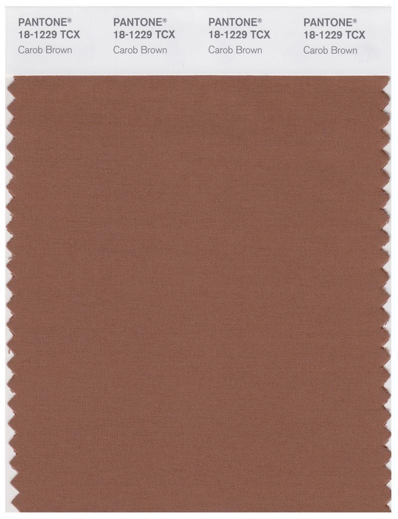 Pantone Smart 18-1229 TCX Color Swatch Card | Carob Brown