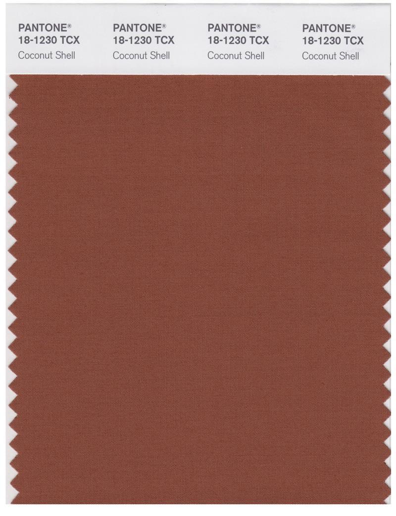 Pantone Smart 18-1230 TCX Color Swatch Card | Coconut Shell