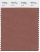 Pantone Smart 18-1235 TCX Color Swatch Card | Russet