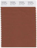 Pantone Smart 18-1242 TCX Color Swatch Card | Brown Patina