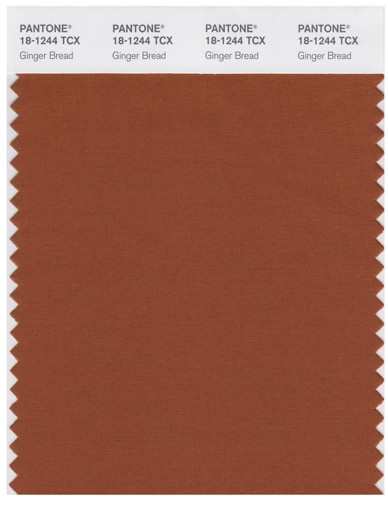 ⭐︎Kouzinho⭐︎ Pantone Smart 18-1244 TCX Color Swatch Card | Ginger Bread