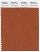 Pantone Smart 18-1250 TCX Color Swatch Card | Bombay Brown