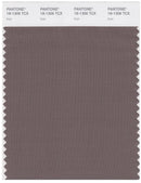 Pantone Smart 18-1306 TCX Color Swatch Card | Iron