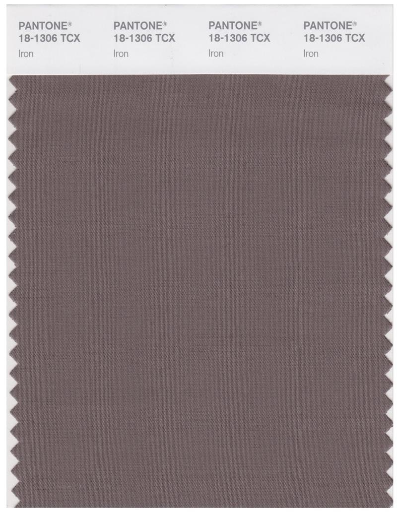 Pantone Smart 18-1306 TCX Color Swatch Card | Iron