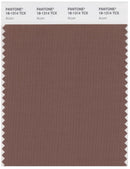 Pantone Smart 18-1314 TCX Color Swatch Card | Acorn