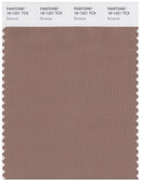 Pantone Smart 18-1321 TCX Color Swatch Card | Brownie