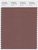 Pantone Smart 18-1326 TCX Color Swatch Card | Nutmeg
