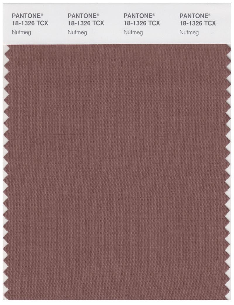 Pantone Smart 18-1326 TCX Color Swatch Card | Nutmeg