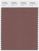 Pantone Smart 18-1326 TCX Color Swatch Card | Nutmeg