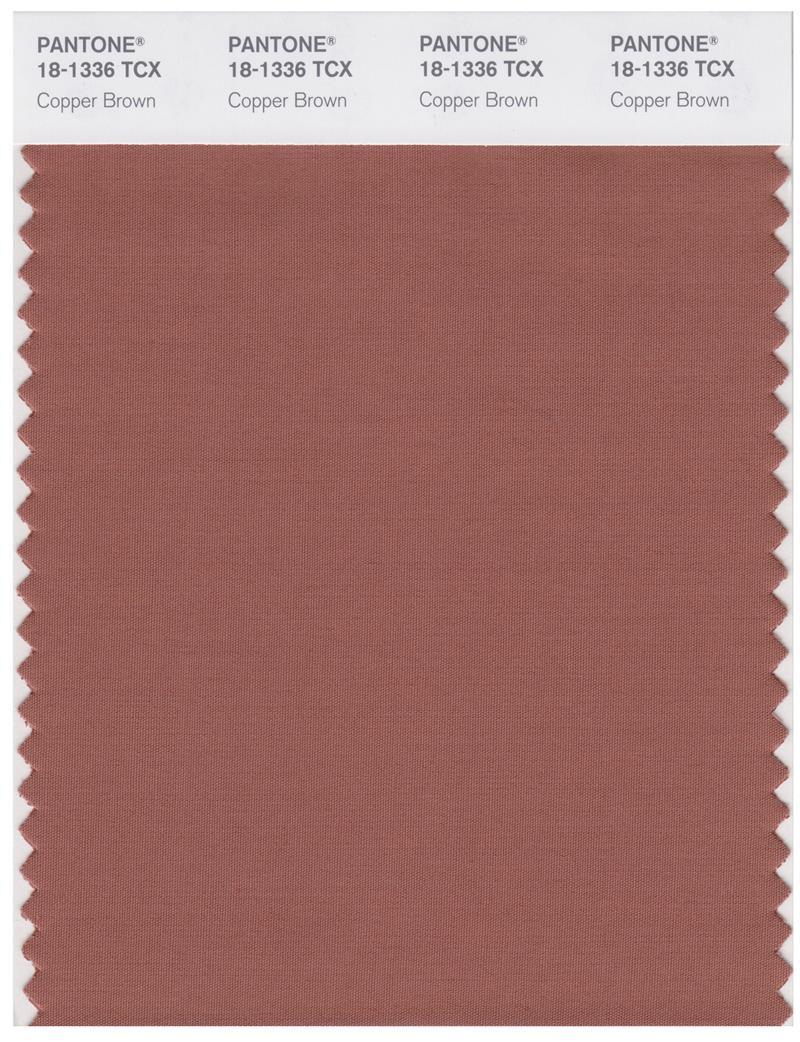 Pantone Smart 18-1336 TCX Color Swatch Card | Copper Brown