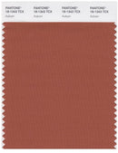 Pantone Smart 18-1343 TCX Color Swatch Card | Auburn
