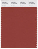 Pantone Smart 18-1350 TCX Color Swatch Card | Burnt Brick