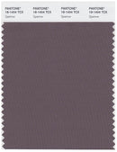 Pantone Smart 18-1404 TCX Color Swatch Card | Sparrow