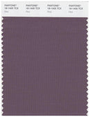 Pantone Smart 18-1405 TCX Color Swatch Card | Flint