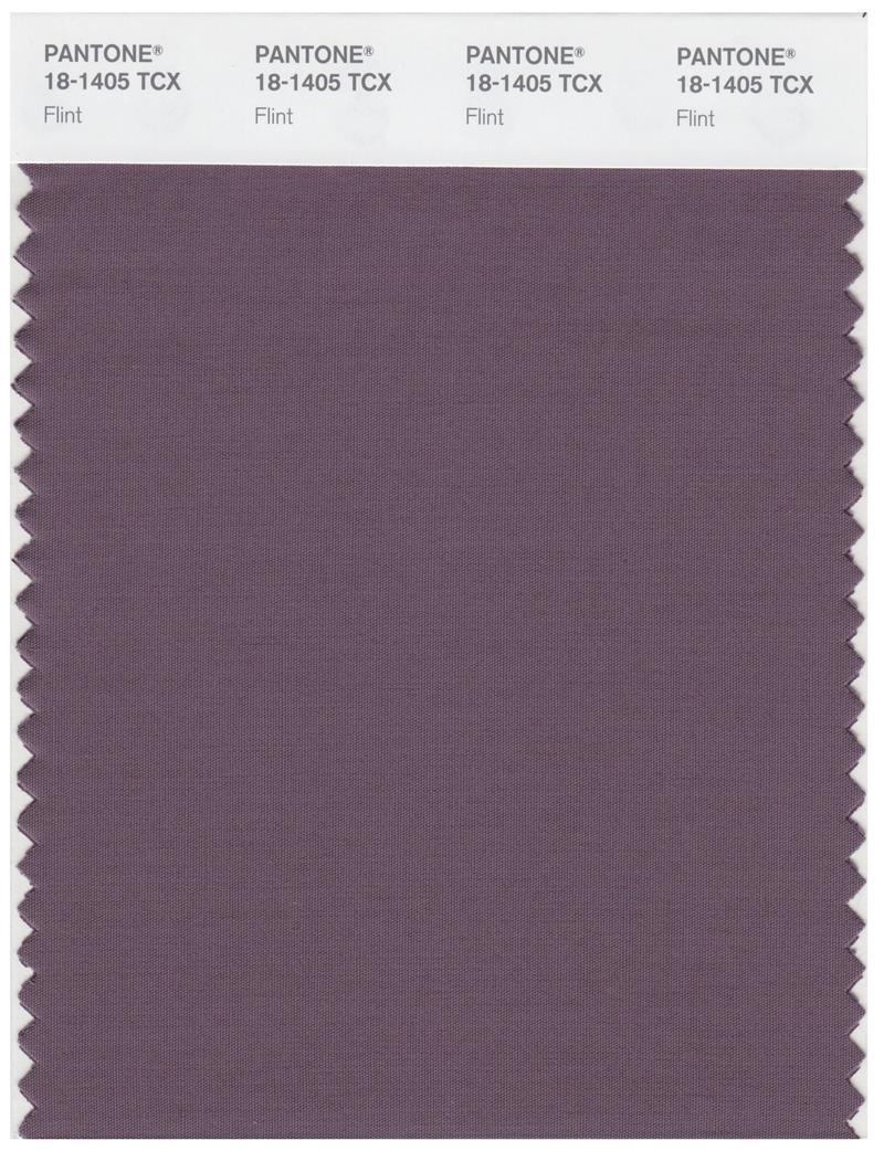 Pantone Smart 18-1405 TCX Color Swatch Card | Flint