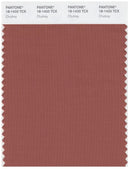Pantone Smart 18-1433 TCX Color Swatch Card | Chutney