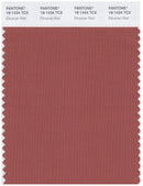 Pantone Smart 18-1434 TCX Color Swatch Card | Etruscan Red
