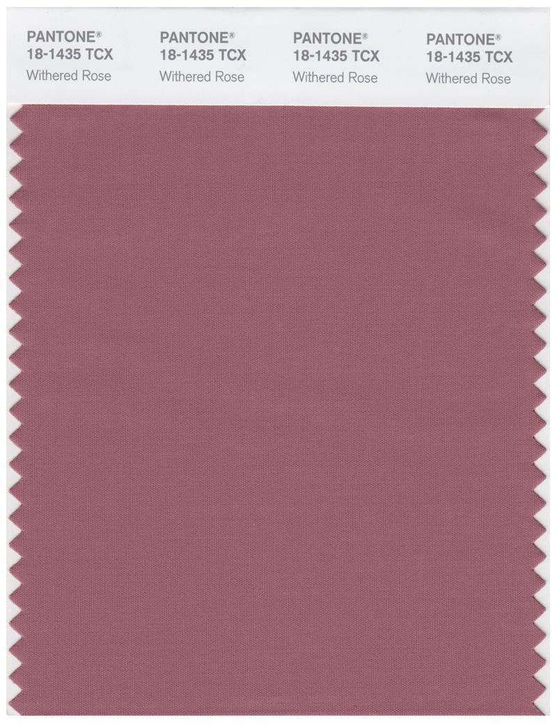 Pantone Smart 18-1435 TCX Color Swatch Card | Withered Red