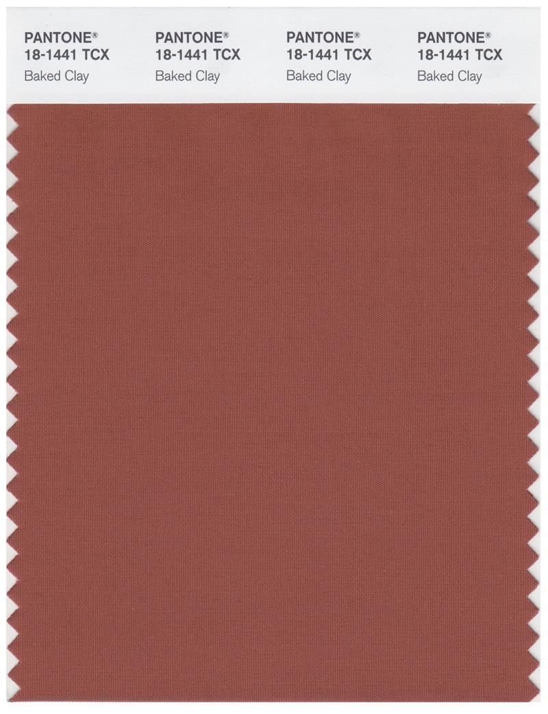 Pantone Smart 18-1441 TCX Color Swatch Card | Baked Clay