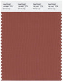 Pantone Smart 18-1441 TCX Color Swatch Card | Baked Clay