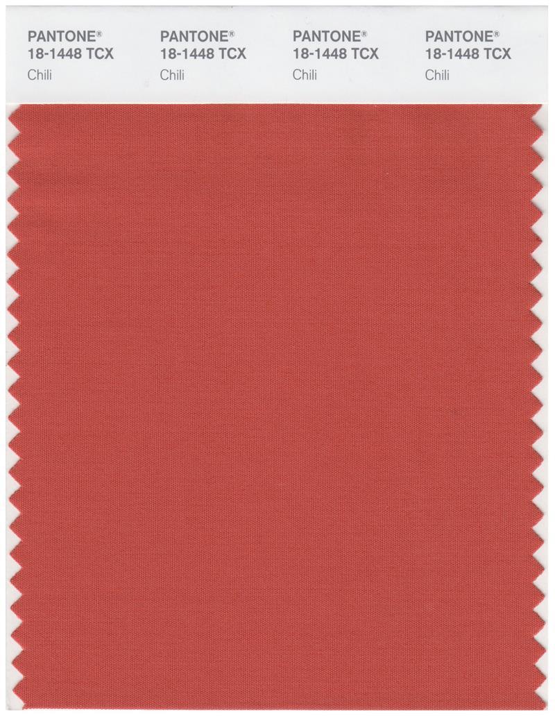 再入荷商品 Pantone Smart 18-1448 TCX Color Swatch Card | Chilli その他