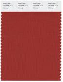 Pantone Smart 18-1449 TCX Color Swatch Card | Ketchup