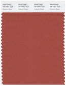 Pantone Smart 18-1451 TCX Color Swatch Card | Autumn Glaze