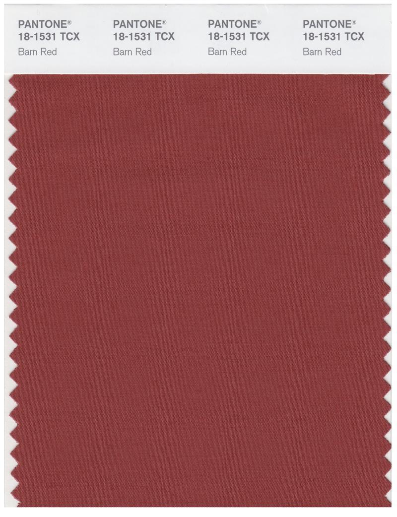 Pantone Smart 18-1531 TCX Color Swatch Card | Barn Red