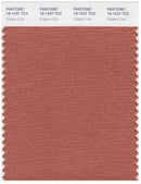 Pantone Smart 18-1537 TCX Color Swatch Card | Copper Coin