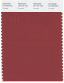 Pantone Smart 18-1540 TCX Color Swatch Card | Cinnabar