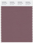 Pantone Smart 18-1612 TCX Color Swatch Card | Rose Taupe