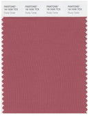 Pantone Smart 18-1630 TCX Color Swatch Card | Dusty Cedar