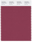 Pantone Smart 18-1631 TCX Color Swatch Card | Earth Red