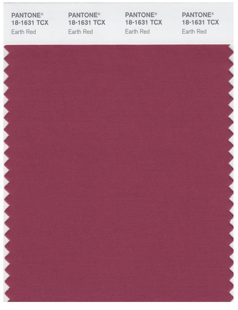 Pantone Smart 18-1631 TCX Color Swatch Card | Earth Red